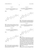 PIPERIDINYL-SUBSTITUTED LACTAMS AS GPR119 MODULATORS diagram and image