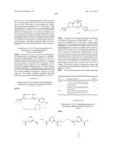 PYRIDAZINONE DERIVATIVES diagram and image