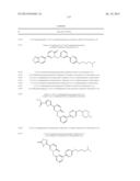 PYRIDAZINONE DERIVATIVES diagram and image