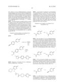 PYRIDAZINONE DERIVATIVES diagram and image