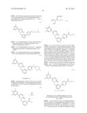 PYRIDAZINONE DERIVATIVES diagram and image