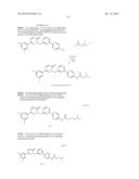 PYRIDAZINONE DERIVATIVES diagram and image