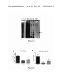 TREATMENT OF ENDOPLASMIC RETICULUM STRESS-RELATED DISEASES AND CONDITIONS diagram and image