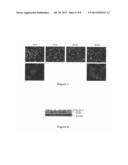 TREATMENT OF ENDOPLASMIC RETICULUM STRESS-RELATED DISEASES AND CONDITIONS diagram and image