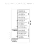 Dual Targeting siRNA Agents diagram and image