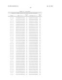 Dual Targeting siRNA Agents diagram and image