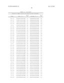 Dual Targeting siRNA Agents diagram and image