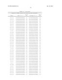 Dual Targeting siRNA Agents diagram and image