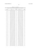 Dual Targeting siRNA Agents diagram and image