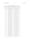 Dual Targeting siRNA Agents diagram and image