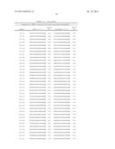 Dual Targeting siRNA Agents diagram and image