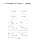 LIGAND-CONJUGATED MONOMERS diagram and image