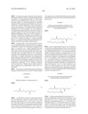 LIGAND-CONJUGATED MONOMERS diagram and image