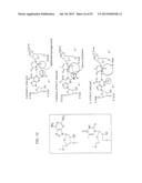 LIGAND-CONJUGATED MONOMERS diagram and image