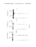 LIGAND-CONJUGATED MONOMERS diagram and image