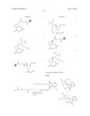 LIGAND-CONJUGATED MONOMERS diagram and image