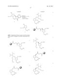 LIGAND-CONJUGATED MONOMERS diagram and image