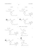 LIGAND-CONJUGATED MONOMERS diagram and image