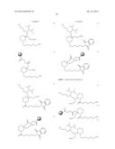 LIGAND-CONJUGATED MONOMERS diagram and image