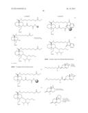 LIGAND-CONJUGATED MONOMERS diagram and image