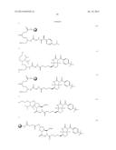 LIGAND-CONJUGATED MONOMERS diagram and image