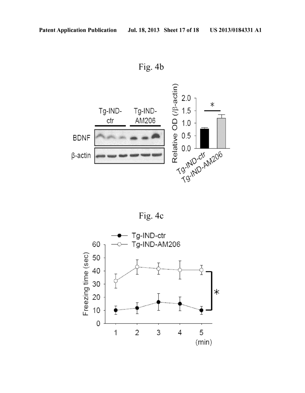 TREATMENT OF NEURODEGENERATIVE DISEASES BY TARGETING MIRNA - diagram, schematic, and image 18