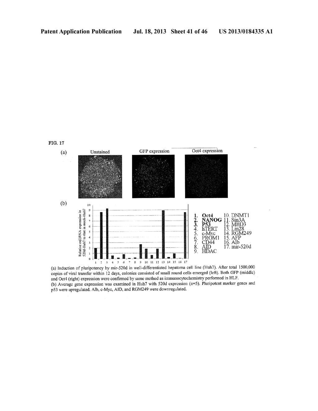 Method For Producing Novel Hipsc By Means Of Sirna Introduction - diagram, schematic, and image 42