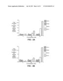 ANTI-CANCER COMPOSITIONS AND METHODS diagram and image