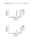 ANTI-CANCER COMPOSITIONS AND METHODS diagram and image