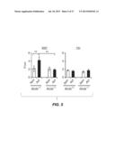 METHODS AND COMPOSITIONS FOR TREATMENT OF CANCER AND AUTOIMMUNE DISEASE diagram and image