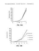 METHODS AND COMPOSITIONS FOR TREATMENT OF CANCER AND AUTOIMMUNE DISEASE diagram and image