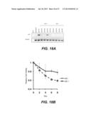 METHODS AND COMPOSITIONS FOR TREATMENT OF CANCER AND AUTOIMMUNE DISEASE diagram and image