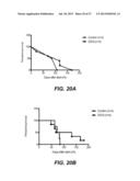 METHODS AND COMPOSITIONS FOR TREATMENT OF CANCER AND AUTOIMMUNE DISEASE diagram and image