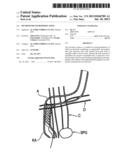 METHOD FOR NEUROMODULATION diagram and image