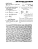 NANOPATTERNED SUBSTRATE SERVING AS BOTH A CURRENT COLLECTOR AND TEMPLATE     FOR NANOSTRUCTURED ELECTRODE GROWTH diagram and image