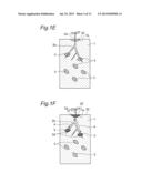 PLANT CULTIVATION STRUCTURE AND SOIL FOR PLANT CULTIVATION diagram and image