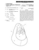 GAS DELIVERY MASK FOR MEDICAL USE diagram and image