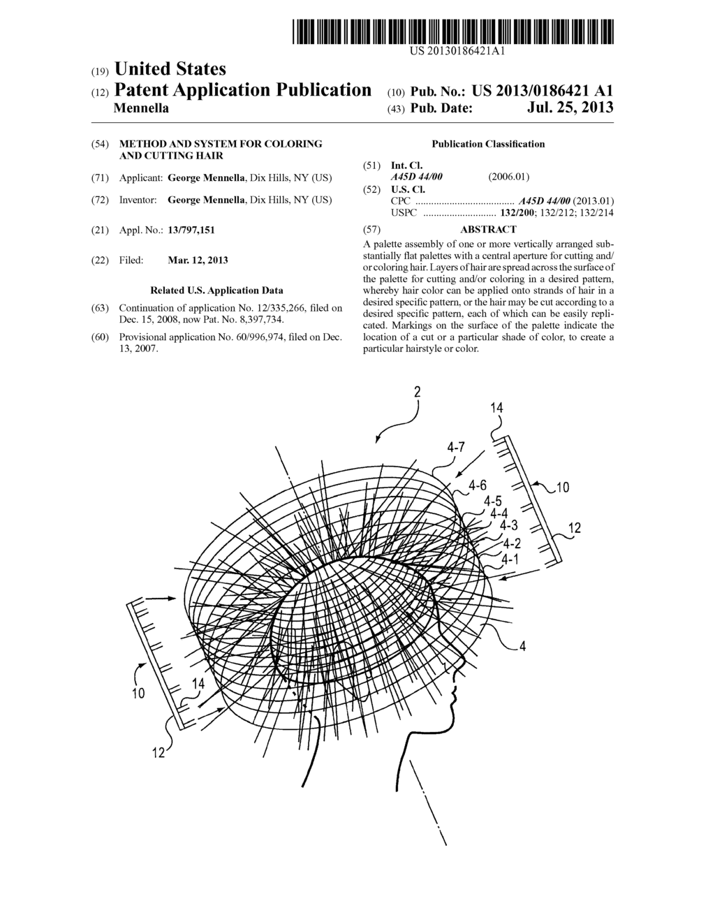 Method and System for Coloring and Cutting Hair - diagram, schematic, and image 01