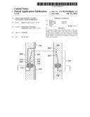 STRUCTURES HAVING CAVITIES CONTAINING COUPLER PORTIONS diagram and image