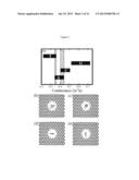 CURRENT-CARRYING NANOWIRE HAVING A NANOPORE FOR HIGH-SENSITIVITY DETECTION     AND ANALYSIS OF BIOMOLECULES diagram and image