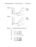 COOKING-OIL DEGRADATION PREVENTER AND COOKING-OIL DEGRADATION PREVENTION     METHOD diagram and image