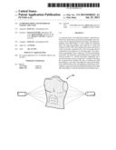 COMPOSITE BODY AND METHOD OF MAKING THE SAME diagram and image