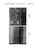 METHOD FOR PRODUCING ALUMINUM NITRIDE CRYSTALS diagram and image