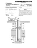 FIBER OPTIC FORMATION DIMENSIONAL CHANGE MONITORING diagram and image