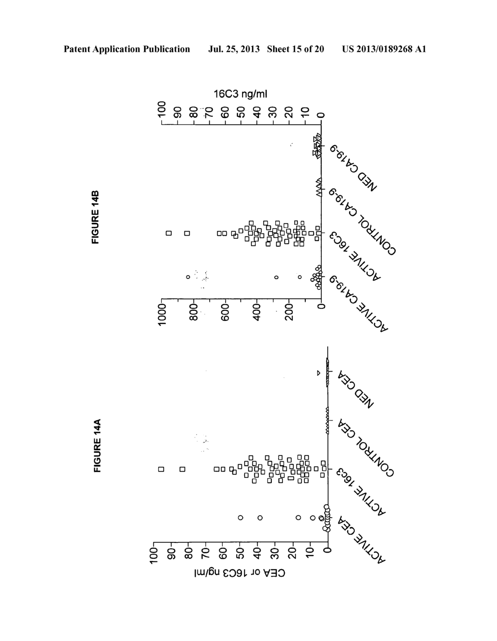 COLON AND PANCREAS CANCER SPECIFIC ANTIGENS AND ANTIBODIES - diagram, schematic, and image 16