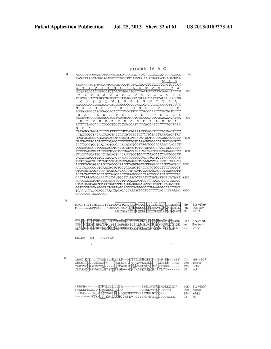 EG-VEGF NUCLEIC ACIDS AND POLYPEPTIDES AND METHODS OF USE - diagram, schematic, and image 33