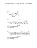 EXPRESSION OF PROTECTIVE ANTIGENS IN TRANSGENIC CHLOROPLASTS AND THE     PRODUCTION OF IMPROVED VACCINES diagram and image