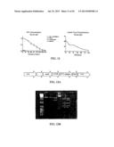 EXPRESSION OF PROTECTIVE ANTIGENS IN TRANSGENIC CHLOROPLASTS AND THE     PRODUCTION OF IMPROVED VACCINES diagram and image