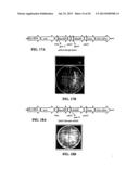 EXPRESSION OF PROTECTIVE ANTIGENS IN TRANSGENIC CHLOROPLASTS AND THE     PRODUCTION OF IMPROVED VACCINES diagram and image