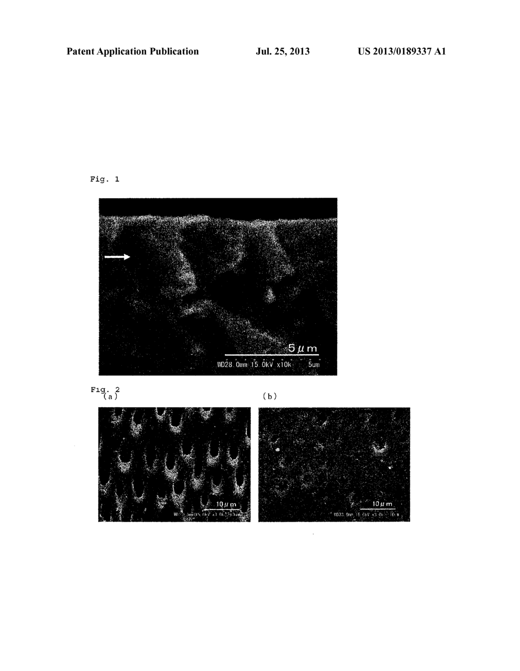 DENTINAL TUBULE SEALANT AND METHOD FOR PRODUCING THE SAME - diagram, schematic, and image 02